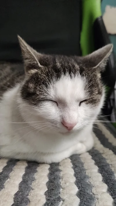 kernik - @Solsith: mam model z tej samej serii ( ͡° ᴥ ͡°)