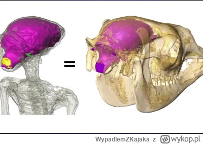 WypadlemZKajaka - hahahahahahahahhahaha
#ufo #bekazszurow