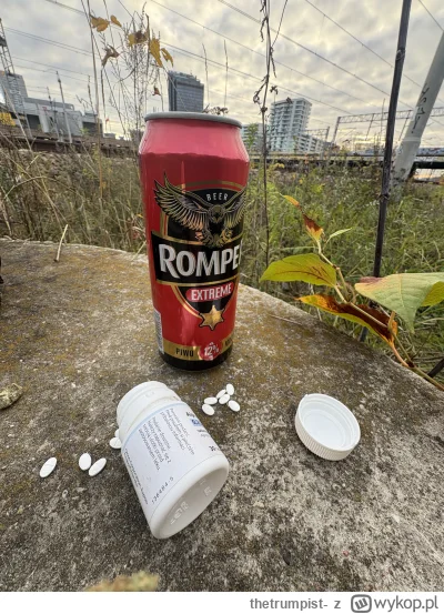 thetrumpist- - od kilku dobrych lat wolę się kolegować z dziewczynami. strasznie w---...