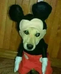 DonBurek - @Corvus_Frugilagus: VirtualStore