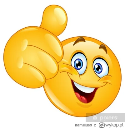 kamillus9 - @CJzSanAndreas: