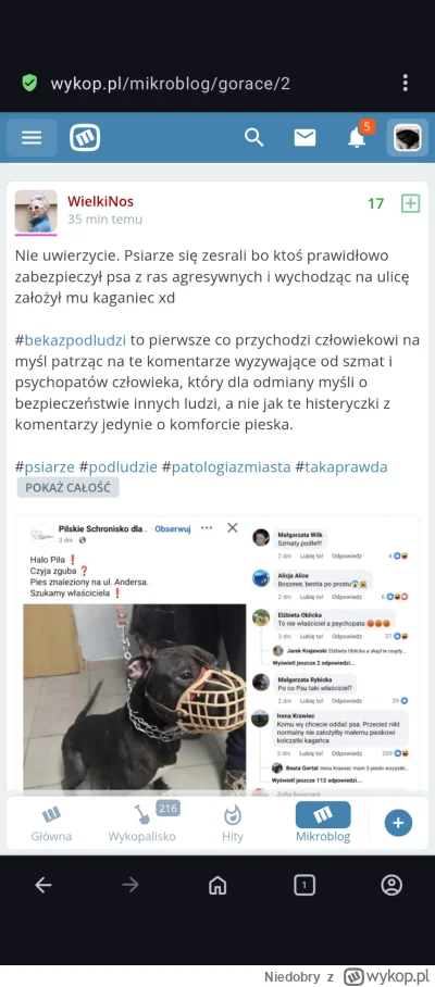 Niedobry - #ocodziszesralsiekulfon Kolejny dzionek w ktorym zaden pieselek nie pogryz...