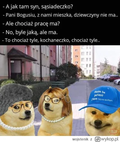 wojstenik - #przegryw