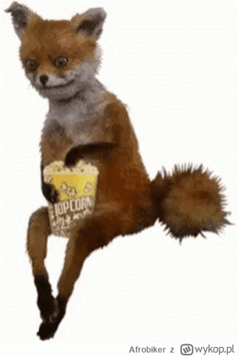 Afrobiker - @dywergent trzymam kciuki