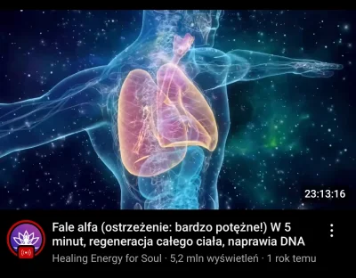 Tippler - Właśnie naprawiam DNA, a wy co tam?