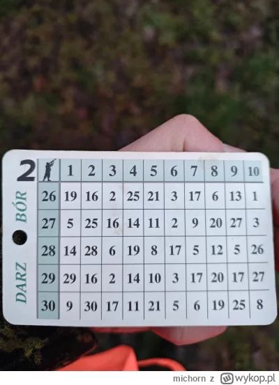 michorn - Darz Bór wykopowej społeczności! Kto dziś aktywnie spędza dzień? #polowanie...