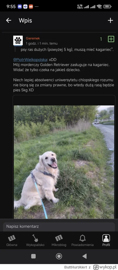 ButtHurtAlert - @Gieremek widać że ty wyszedłeś hipokryto, wiadomo fafik nie gryzie, ...