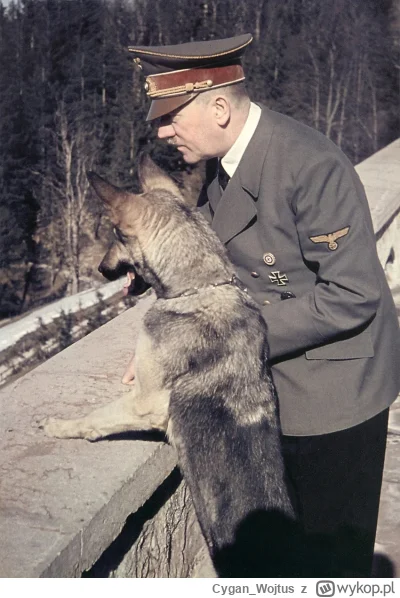 Cygan_Wojtus - #psiarze 

Wielką maksymą psiarzy: jeśli ktoś kocha psy, to jest dobry...