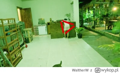 WaltherW - Tylko Klapek i Klapek. Tracicie czujność Kochani. A tymczasem Predator wci...