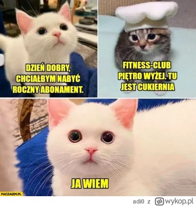 adi0 - #heheszki #humorobrazkowy #nowyrok