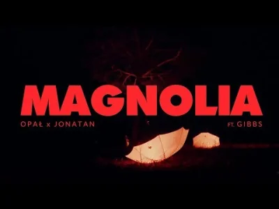 Turkotka - Opał x Jonatan - MAGNOLIA ft. Gibbs

#nowoscpolskirap #muzyka #gibbs #rap