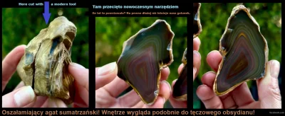 Wincencik - choćby taki