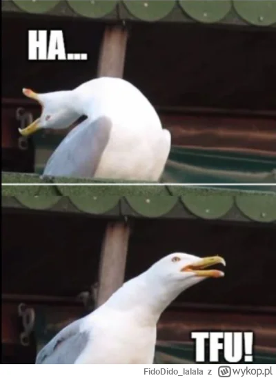 FidoDido_lalala - Nóż w kieszeni się otwiera.