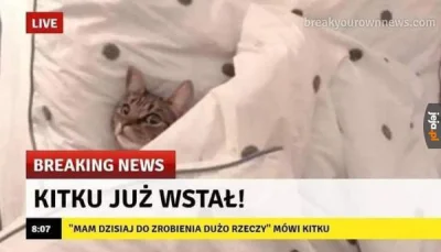 v.....u - Dżem dobry.

#breakingnews
#heheszki
#kitku