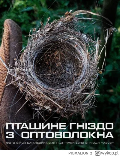 PIGMALION - #ukraina #rosja #wojna #przyroda 

Przystosowanie natury do wojny.

  Zna...