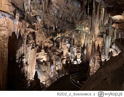 R2D2zSosnowca - @R2D2zSosnowca elo