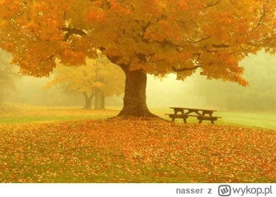 nasser - jestem z Ciebie dumny! :)