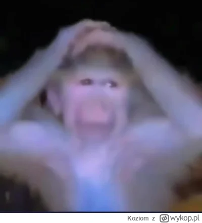 Koziom - @XgabrielX: Co ja przeczytałem właśnie