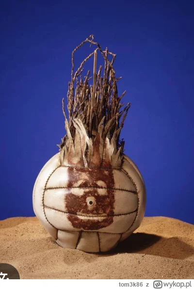 tom3k86 - #mecz #heheszki
Proszę Państwa, wysoki Sądzie! To jest skrzydlowy, Nico Wil...