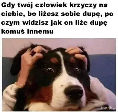 KukiScotland - #heheszki #przegryw