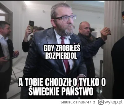 SinusCosinus747 - #braun #konfederacja #memy #heheszki