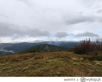 wafel14 - @faramka: prosz