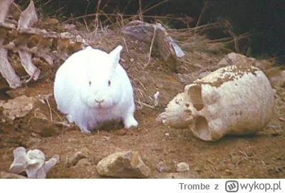 Trombe - @Zmorka: aby to nie był tylko ten