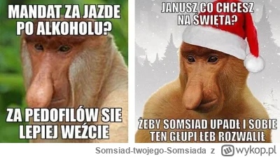 Somsiad-twojego-Somsiada - Memy o Januszu