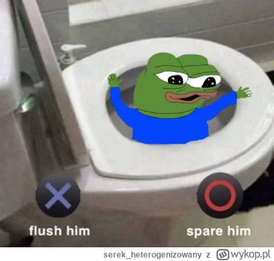 serek_heterogenizowany - Wolałbym napić się wody z kibla niż dać się wyruchać uciemię...