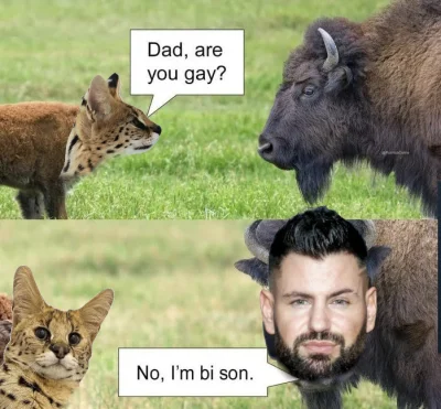 look997 - #gola #wardega #wataha #biseks #famemma #heheszki #humorobrazkowy