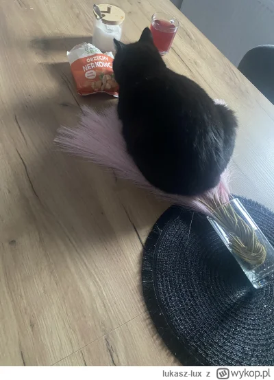 lukasz-lux - #pokazkota 

nowy item na stole trzeba przetestować