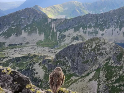 penkroff - mój ziomek i czil