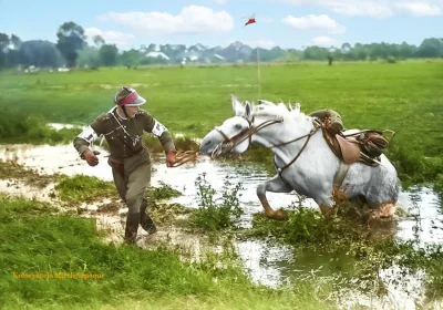 Mortigan - Zawody o tytuł mistrza kawalerzysty wojską polskiego 1937