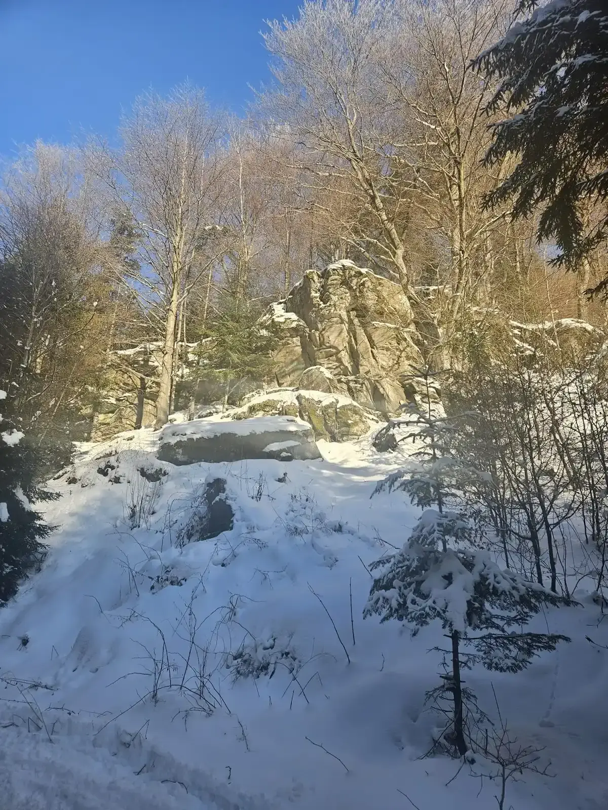 powsinogaszszlaja - W nawiązaniu do tego wpisu

https://wykop.pl/wpis/80631103/prosze...