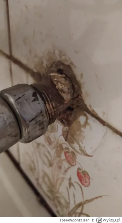 speedygonzales1 - @Hehehe115: Mam dużego, 24-calowego stillsona, jednak na nic mi się...