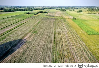 januszzczarnolasu - @stefan_pmp: Raczej pole na lotnisku