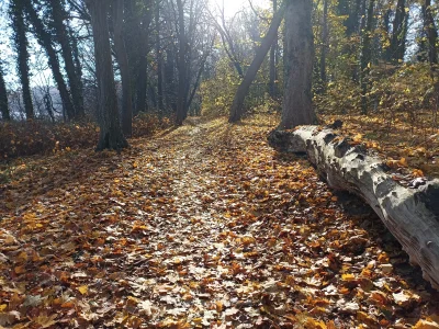 Baczny_Obserwator - Tylko na spierdotripie czuje się dobrze.
#przegryw #spierdotrip