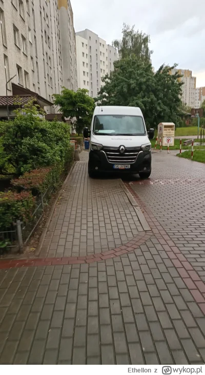 Ethellon - Podkreślam, 50 metrów obok jest parking.
#samochodoza