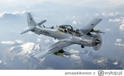 jamajskikanion - @umowionyznaksygnal: w sumie możnaby zebrać się w Europie i wprowadz...