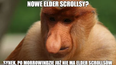 Sterax33 - #morrowind #rpg #gry #skyrim #oblivion