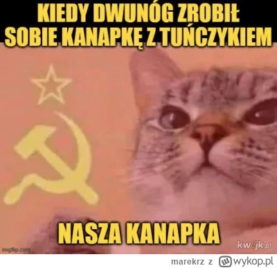 marekrz - #koty #humorobrazkowy #heheszki