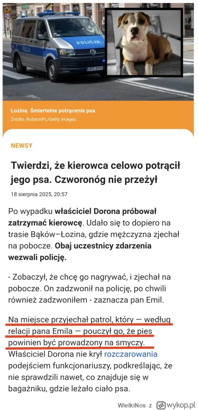 WielkiNos - Kolejne obwinianie całego świata o własne błędy przez psiarzy i "mój pies...