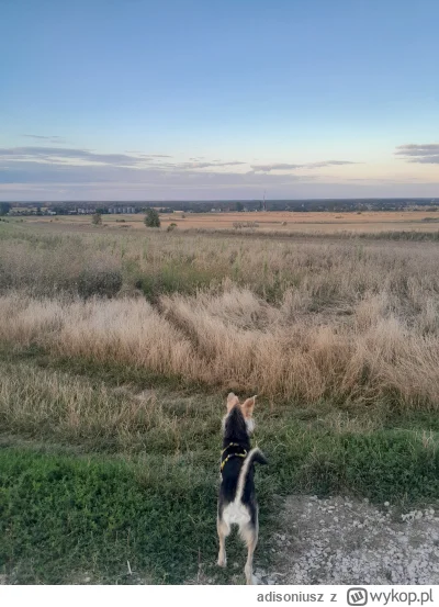 adisoniusz - @adisoniusz