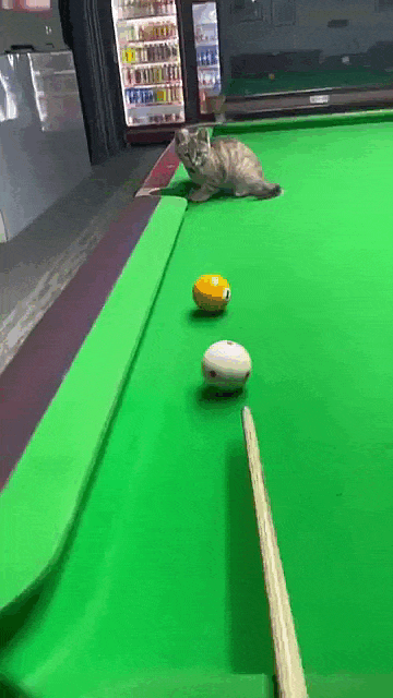 jestemtakizmeczony - @jestemtakizmeczony: