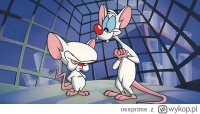 ossprime - @RakunG: Pinky i Mózg
