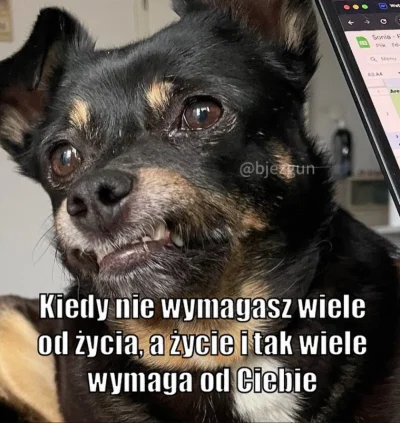 wybryk_natury - #zlodziejskiewybryki