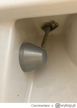 Cierniostwor - Mam w toalecie taką śrubę. Wie ktoś jak ją wykręcić? Płaskim kluczem j...