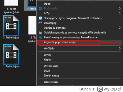 Bunch - Co znaczy "przywróć poprzednie wersje" na pliku? ALe NA PLIKU - nie chodzi o ...