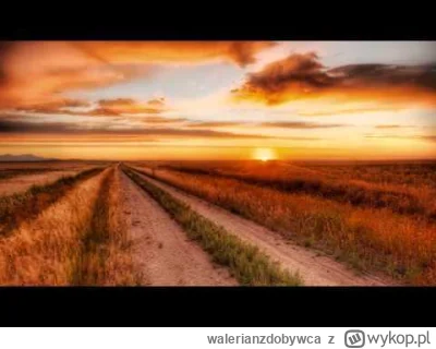 walerianzdobywca - Tripswitch