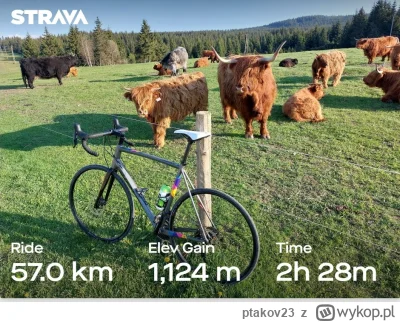 ptakov23 - 270 643 + 57 = 270 700

No i w koncu, po kilku miesiącach pustych magazynó...